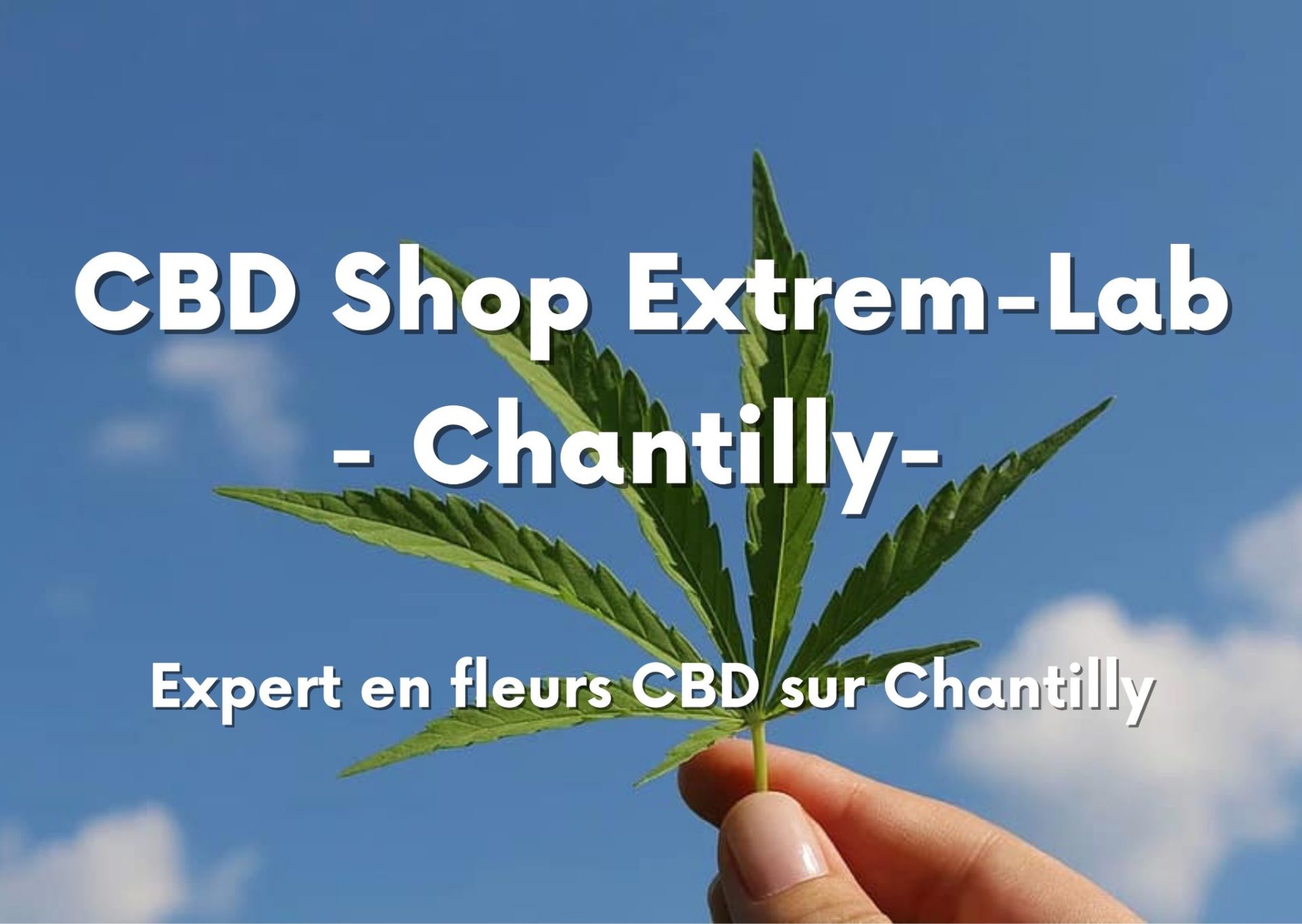 CBD à Chantilly