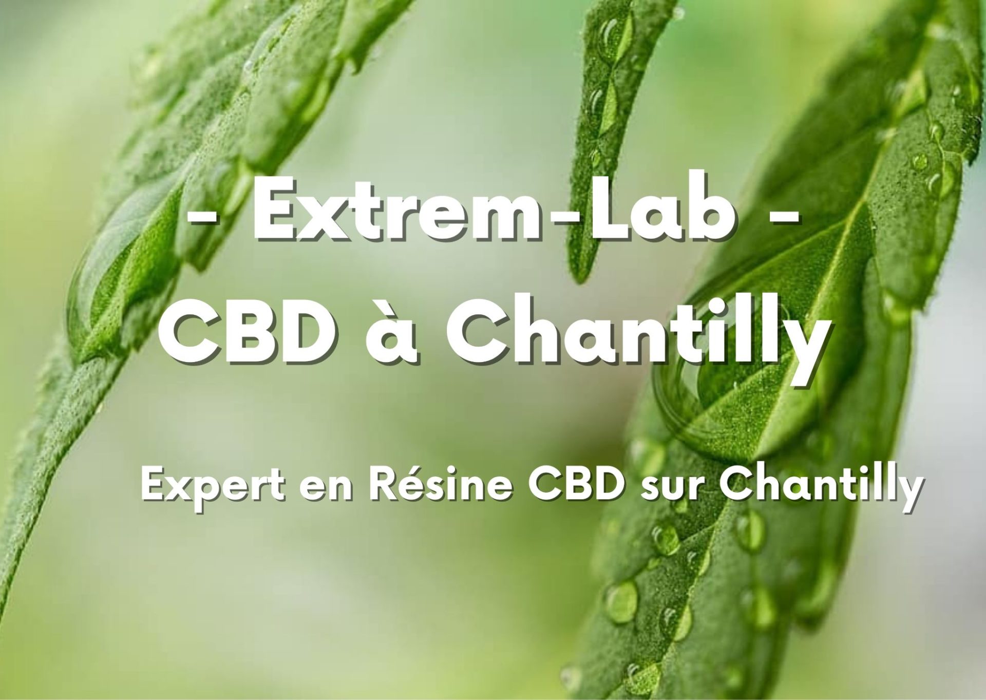 CBD à Chantilly