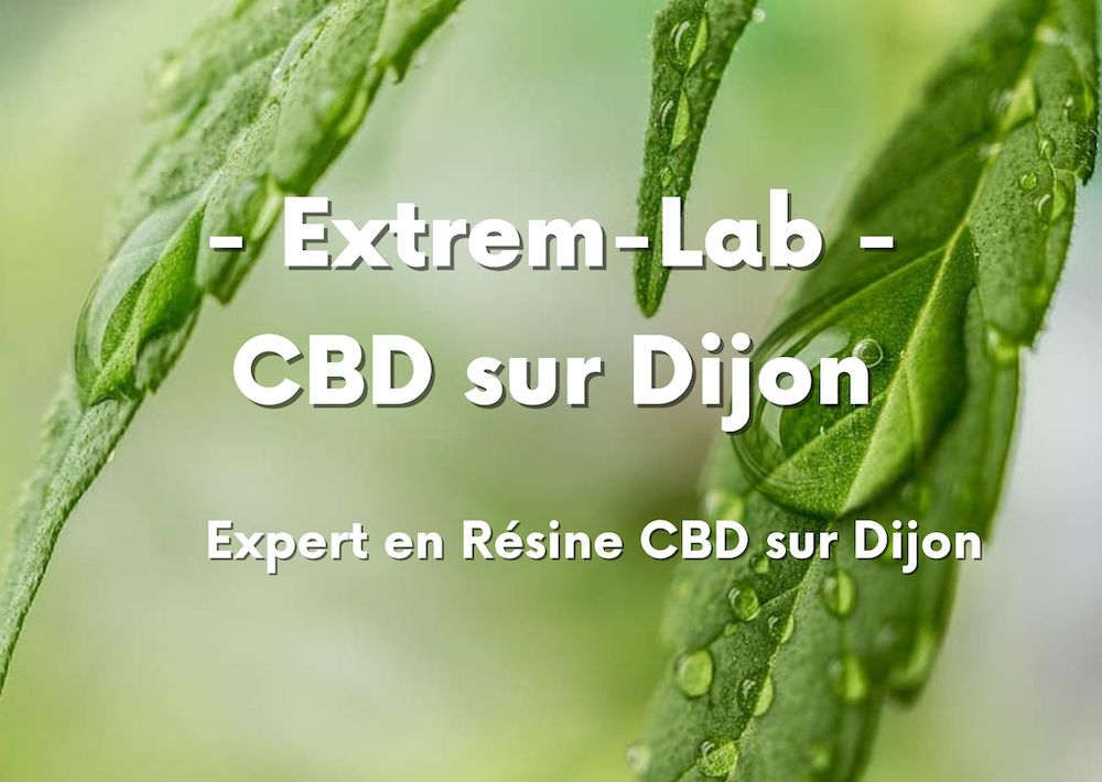 CBD à Dijon