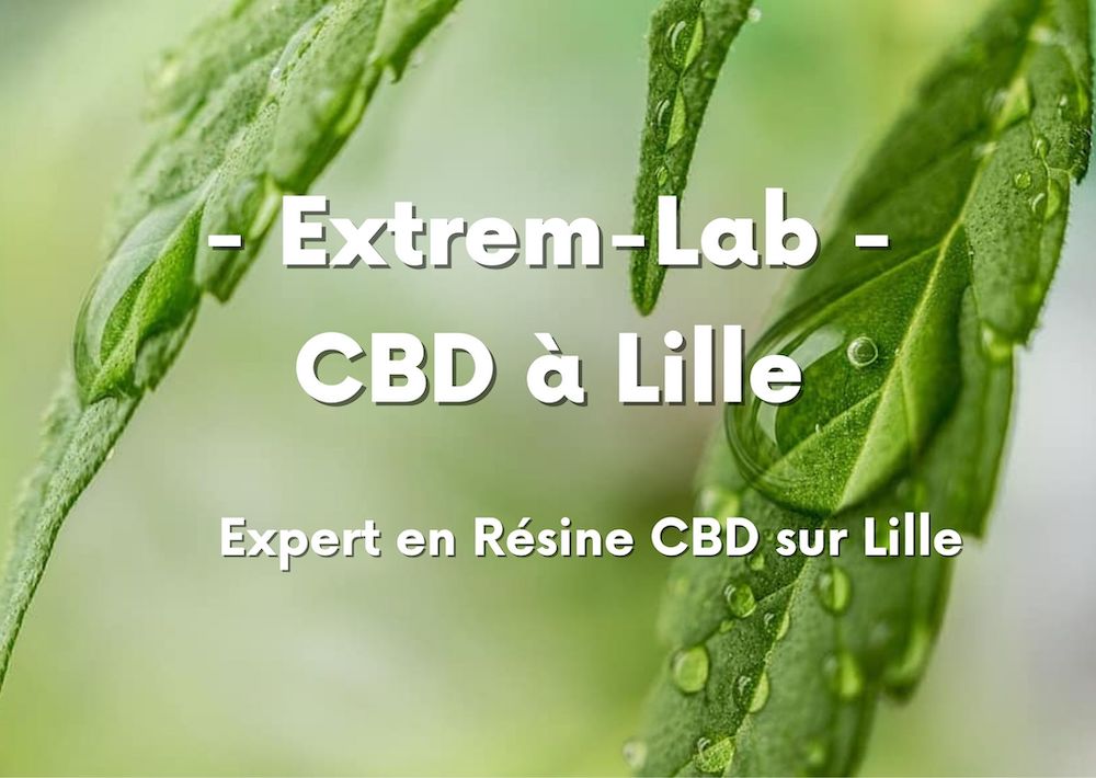 CBD à Lille