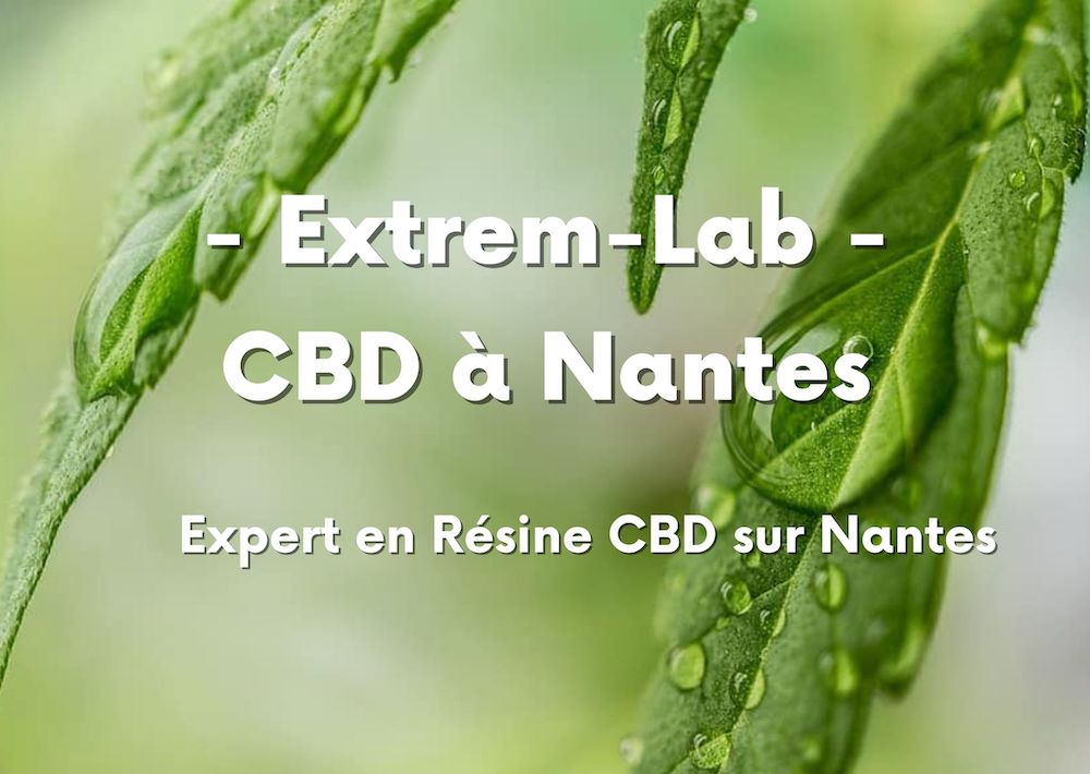 CBD à Nantes