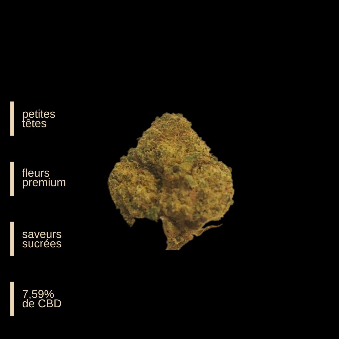 Small Bud Gelato Strain Cali - 5 grammes au lieu de 2,5 - (2€/gr)