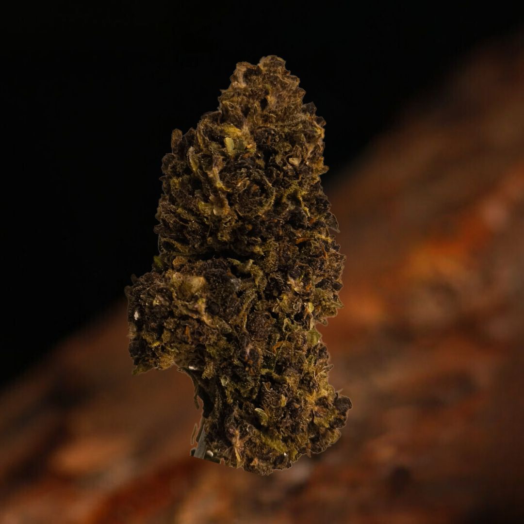 Violeta - 10 grammes au lieu de 5 - (2€/gr)