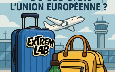✈️ Peut-on voyager avec du CBD ? Ce que dit la loi en 2025