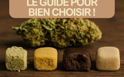Résine CBD : le guide complet pour bien choisir