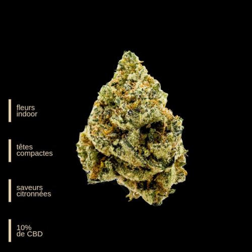 Copie de Copie de PUBLICATION EXTREMLAB (1000 x 1000 px)_20260121_171741_0000