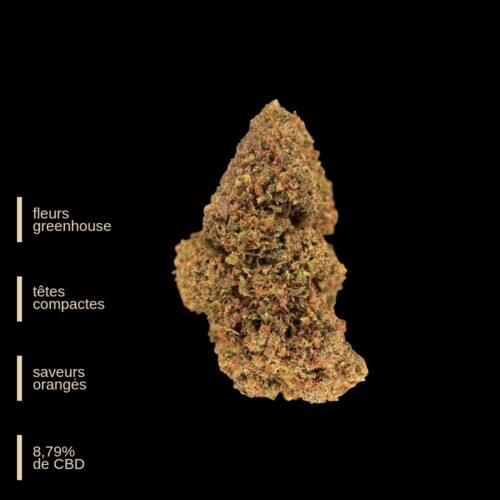 Copie de Copie de PUBLICATION EXTREMLAB (1000 x 1000 px)_20260121_172532_0000