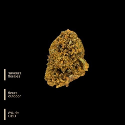 Cannatonic - outdoor