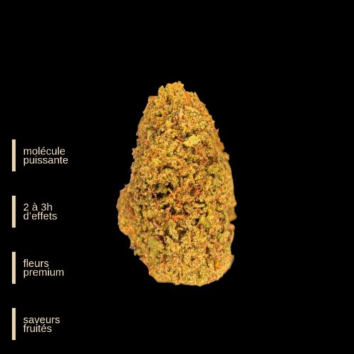 Copie de Copie de PUBLICATION EXTREMLAB (1000 x 1000 px)_20260318_180320_0000