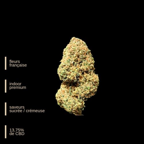 Gelato by Cannaia  - Fleurs Indoor Française