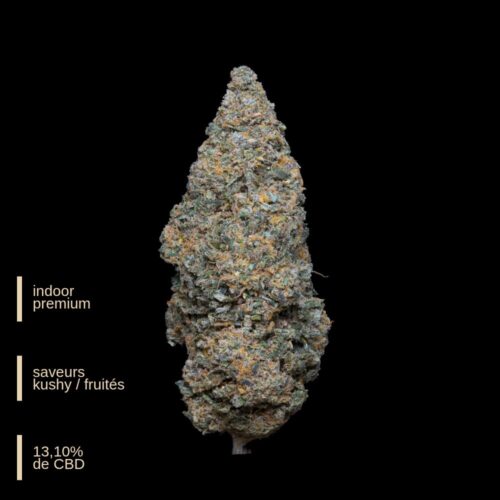 Slurp  - Weneed - Fleurs indoor premium